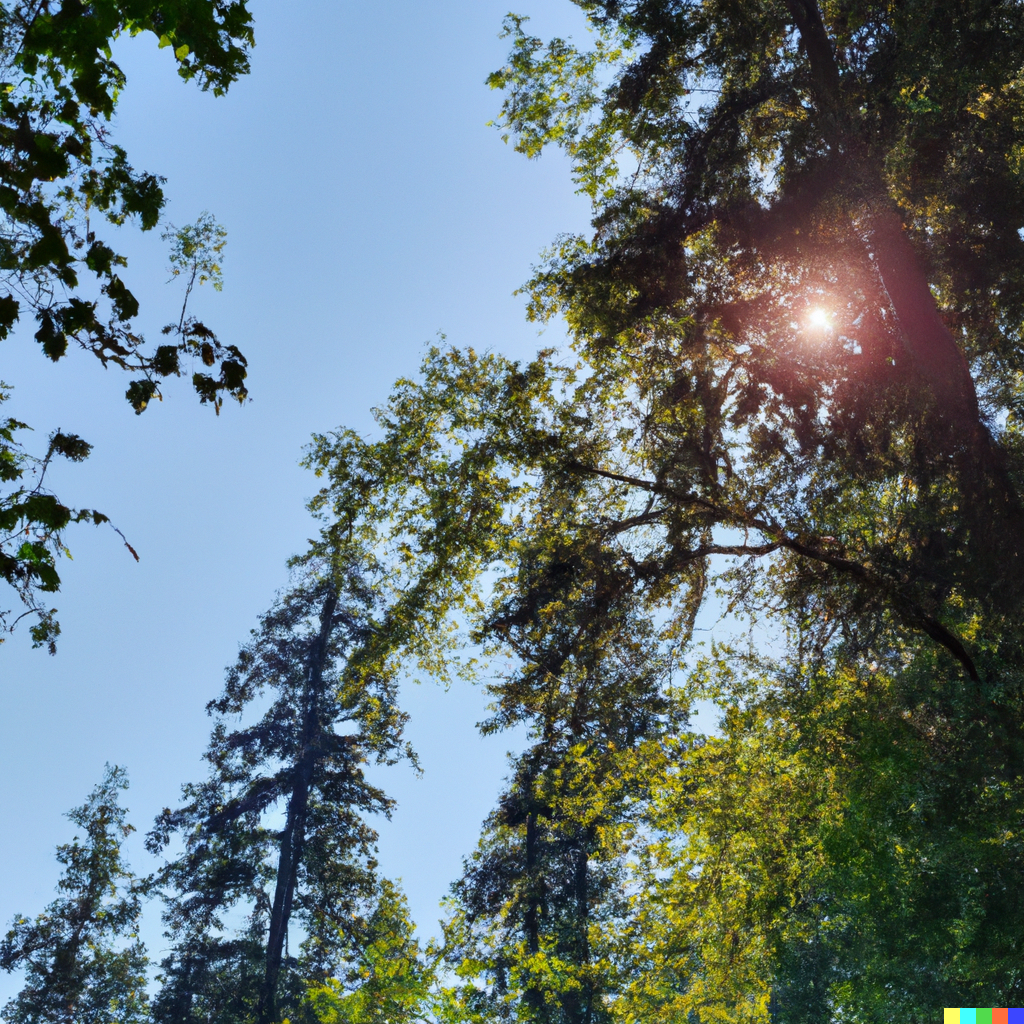 Blind Psychic's In-Depth One-Hour Phone Consultation"